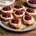 Cranberry and Brie Crostini appetizer with brie and cranberry sauce